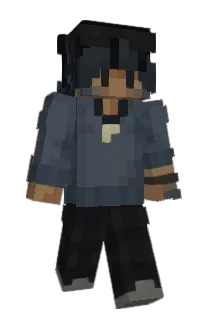 Front of Wvesce's skin