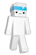 _Vornix