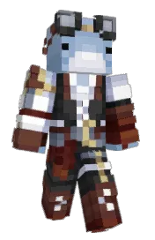Skin preview
