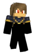 _vin1