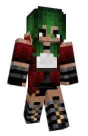 Skin preview