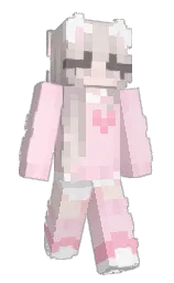 Back of Minecraft skin