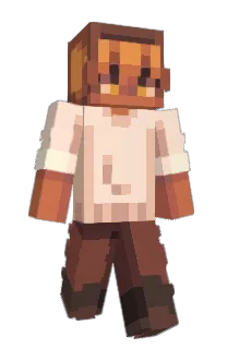 Front of hveq's skin