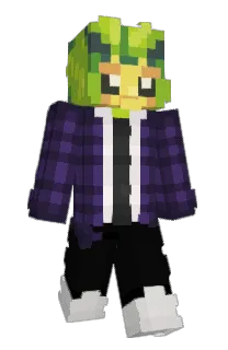 Front of Swadloon's skin