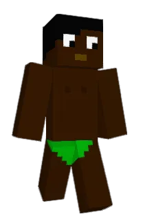 Front of nincompoopo's skin