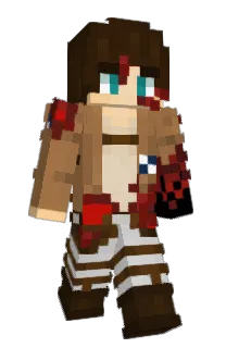 Front of hhnt's skin