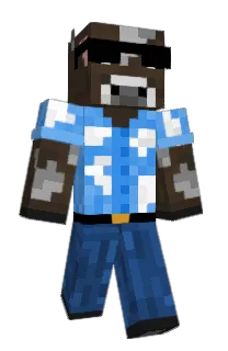 Front of Minecraft skin