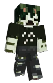 Skin preview
