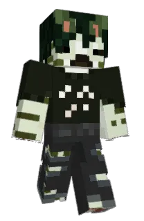 Front of Ir1shgamer's skin