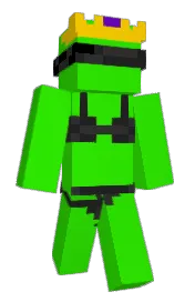 Skin preview