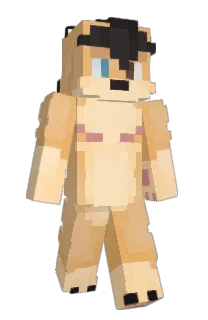 Front of Minecraft skin