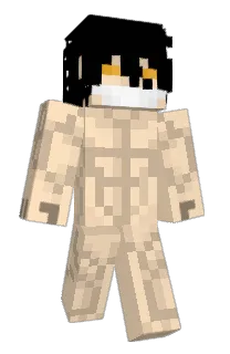 Front of Advortise's skin