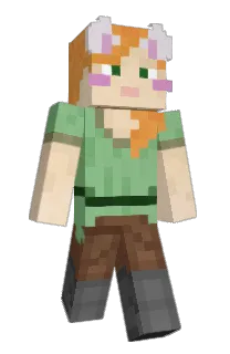 Front of 1sau's skin
