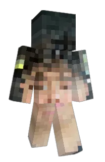 Front of BeeBTW's skin