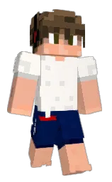 Classic Minecraft skin