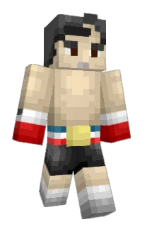 NCL's Minecraft skin