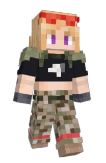 Front of DraLJs's skin