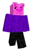 StellarLlama