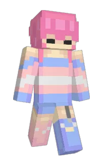 Front of wsmt's skin