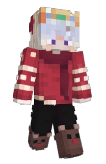 Front of TotallyNotFerris's skin