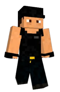 Front of Pollart's skin