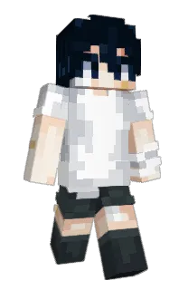 Front of skrubbed's skin