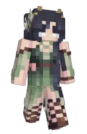 Skin preview