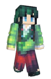 Skin preview