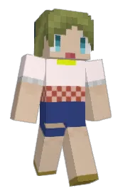 Skin preview