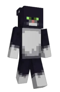 misqdo's Minecraft skin