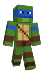 Minecraft skin — Classic model