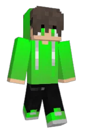 Skin preview