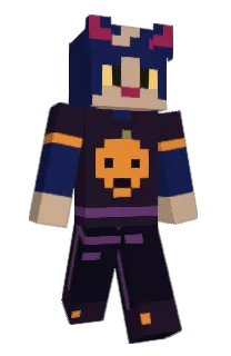 Front of SonixHD's skin