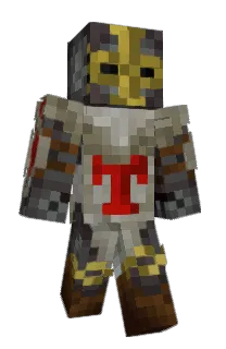 Toqqer's Minecraft skin