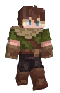 Front of nhsr's skin