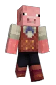 MetroPig