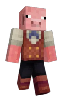 Front of MetroPig's skin