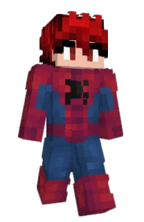 Front of WallyCrafts's skin