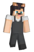 WhySneak