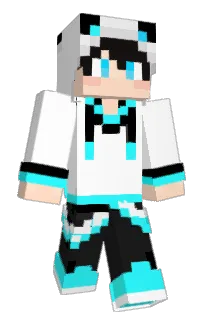Front of toynumber's skin