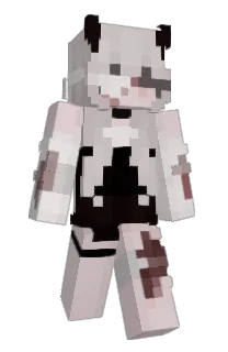Zayl1n's Minecraft skin