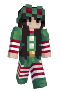 Front of PocketSage's skin