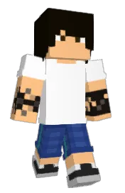 Skin preview