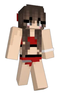 Front of Minecraft skin