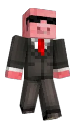 flip_312's Minecraft skin wearing the Migrator cape