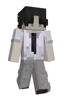 Front of lnsignia's skin