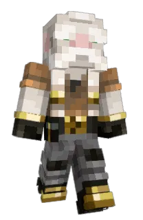Front of Hixney's skin