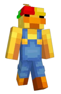 Front of axofr's skin
