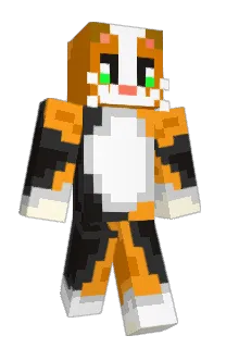 Front of CombatCat's skin