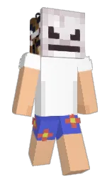 manhattan and white Minecraft skin — Slim model — first worn by Hinkeli
